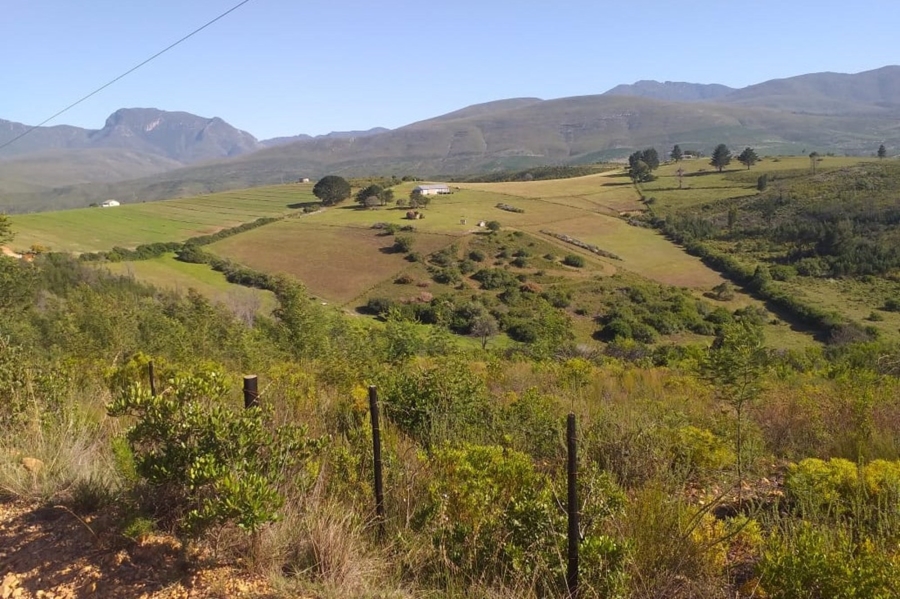 Commercial Property for Sale in Friemersheim Western Cape
